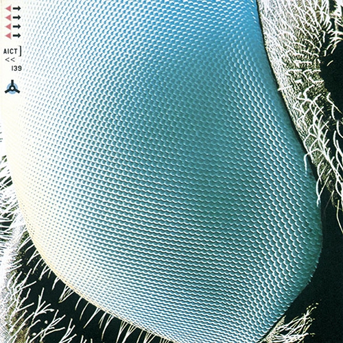 FOGBOUND / BOOM BOOM SATELLITES (2000) MP3 - Download
